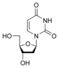 Chemical structure of deoxyuridine