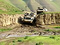 Феннек в Афганистане