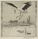 Аист над прудом. 1899. Офорт, акватинта