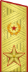 Парадный погон генерала армии (1974-1991)