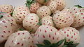 Земляника садовая, белоплодный сорт «Pineberry»