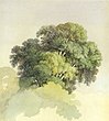 Кроны деревьев. 1867