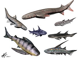 Cheiracanthus murchisoni, Acanthodes bronni, Climatius reticulatus, Ischnacanthus gracilis, Parexus recurvus, Gyracanthus formosus, Diplacanthus crassissimus