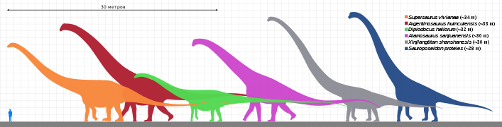 Некоторые гигантские завроподы