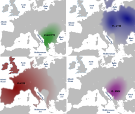 Распространение гаплогруппы I2-M438, а также гаплогрупп E-M78 (V13), R1a-M198, R1b-M269 в Европе
