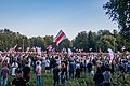 Предвыборный митинг Светланы Тихановской 30 июля 2020 года, собравший около 60 тысяч человек