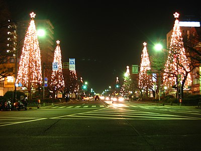 Проспект из рождественских елей в токийском районе Кунитати
