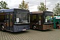MAZ-203 and MAZ-206 bus