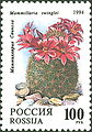 Почтовая марка России с видом Cochemiea grahamii (прежнее название Mammillaria swinglei отнесено в синонимы[8])