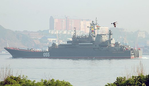 БДК «Адмирал Невельской» в проливе Босфор Восточный, 2014 год.