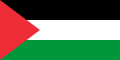 Флаг Палестины, с отредактированным тоном (2022 — н. в.)