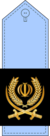 Brigadier General