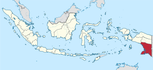 Южное Папуа на карте