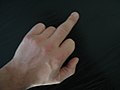 Средний палец (medius)