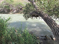 Река Чарын вблизи Чарынского каньона