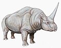 Elasmotherium caucasicum (реконструкция)