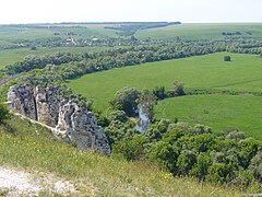 Вид с возвышенности на Большие Дивы. У подножья расположена остановка 143 км железнодорожной ветки Лиски — Валуйки