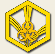 Петличный знак Войск РХБЗ России.