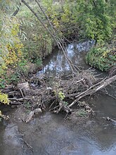 Завал на реке Старка (Нижний Новгород)