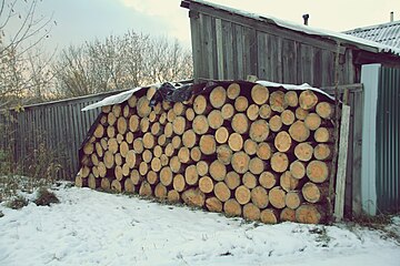 Уложенные в ряд неколотые дрова