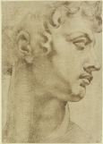 Голова Джулиано Медичи. Рисунок со статуи работы Микеланджело для надгробия в Капелла Медичи Капелле Медичи во Флоренции. Бумага, перо, тушь