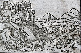 Зарисовка с изображением дракона из Cosmographie Universalis[en] (1544) Себастиана Мюнстера