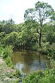 Река Тулица в районе садового товарищества «Берково»