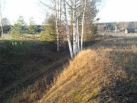 Бежецкий верх в окрестностях Староселья (Моркиногорское сельское поселение). Вид с гор на деревню.