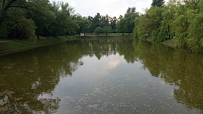 Малый Новодевичий пруд. Пруд сообщается с Большим Новодевичьим прудом.