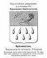 Герб города с официальным описанием. 1781