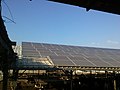 Солнечные батареи на крыше коровника