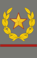 Нарукавный знак различия Маршала Югославии для Сухопутных войск ЮНА в 1943—1980 годах