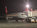 NordWind Boeing 737-800 пристыкованный к телетрапу