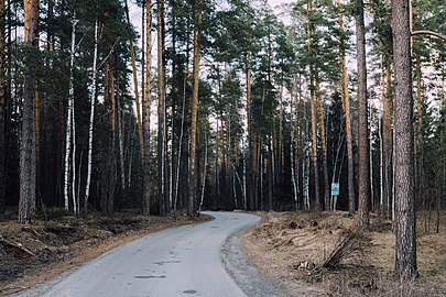 Дорога в заповедник