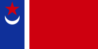 Флаг, предложенный специальной комиссией в 1991 году