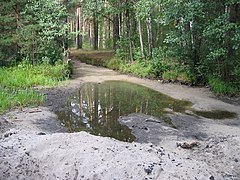 Пересохшая речка Шитка, обычно вытекающая из Чёрного озера