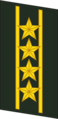 Петлица старшего полковника (Colonel Commandant) сухопутных войск КНР (2007-2009).