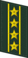 Петлица старшего полковника (Colonel Commandant) Народной вооружённой милиции КНР.