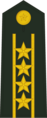 Погон старшего полковника (Colonel Commandant) сухопутных войск КНР (2007-2009).