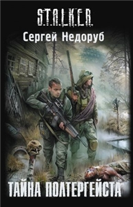 Обложка книги Сергея Недоруба «Тайна полтергейста»