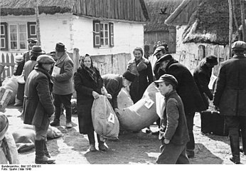 Прибытие в Вартеланд немцев-крестьян, май 1940 г.