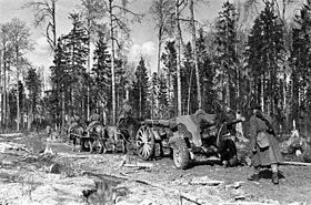Артиллеристы 19-го гвардейского стрелкового полка. 1943 год