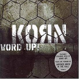 Обложка сингла Korn «Word Up!» (2004)