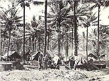 Black and white photo of soldiers working in a jungle camp alongside several artillery pieces