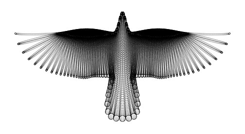 «Летящая птица» Хамида Надери Йеганеха образована семейством кривых
