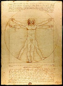 Пропорции: Витрувианский человек Леонардо, ок. 1490