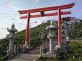 Чернохвостая чайка Kabushima Shrine