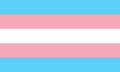 Трансгендерный флаг, использующийся для репрезентации небинарных идентичностей