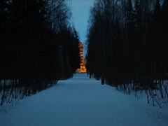 Берёзовая дорога ранним зимним утром. Впереди - Хохлово поле