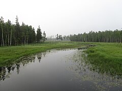 Река Гатчинка. Вдалеке - мост на дороге Можжевеловой